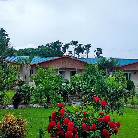 Greenland Safari, Sauraha Exterior photo