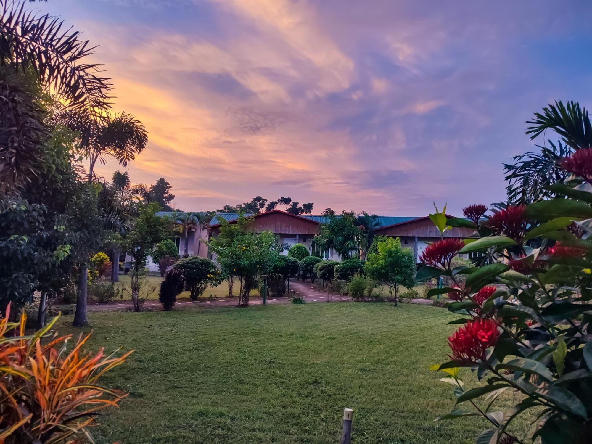Greenland Safari, Sauraha Exterior photo