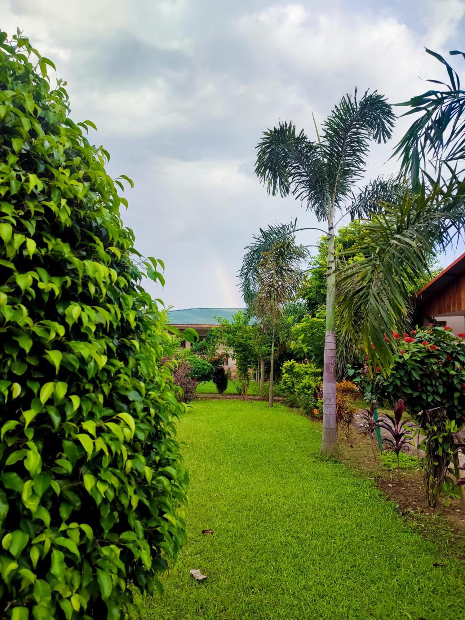 Greenland Safari, Sauraha Exterior photo