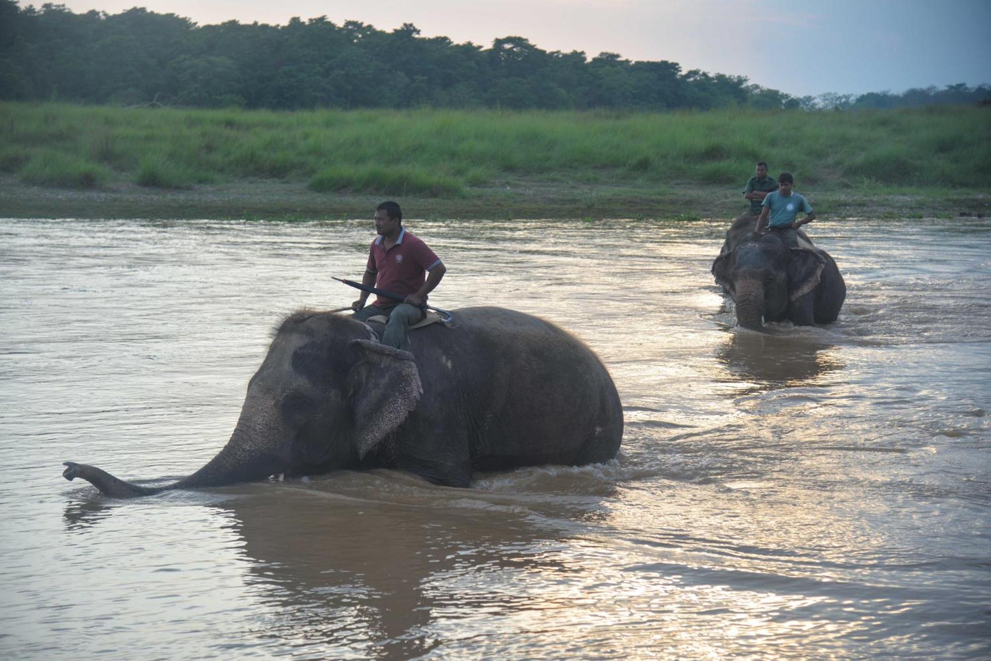 Greenland Safari, Sauraha Exterior photo