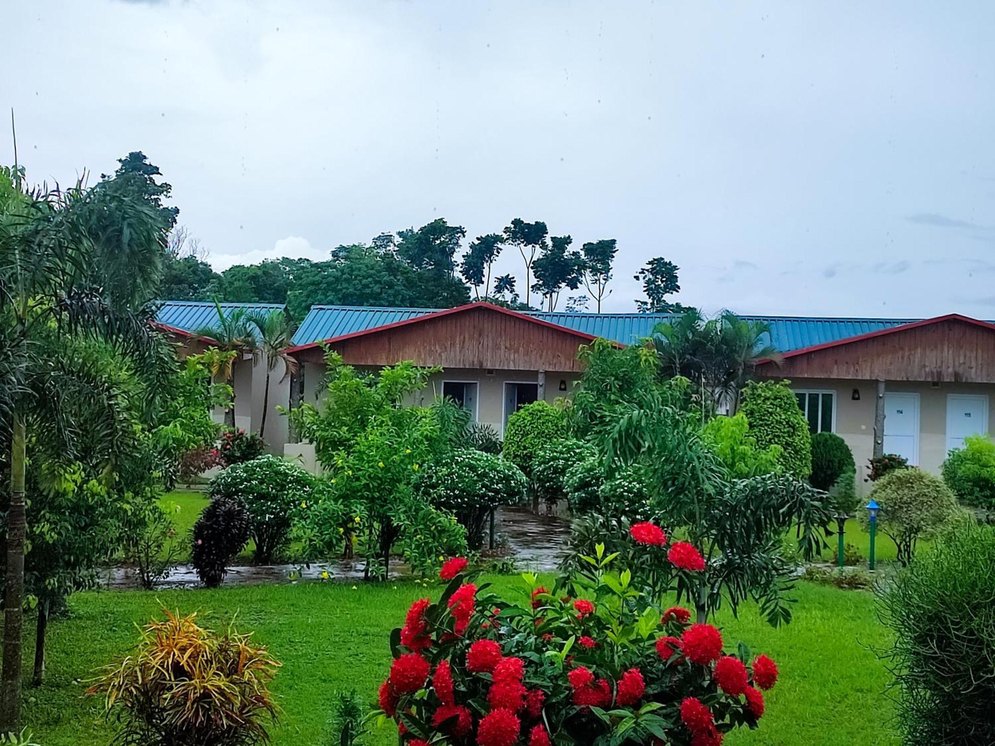 Greenland Safari, Sauraha Exterior photo