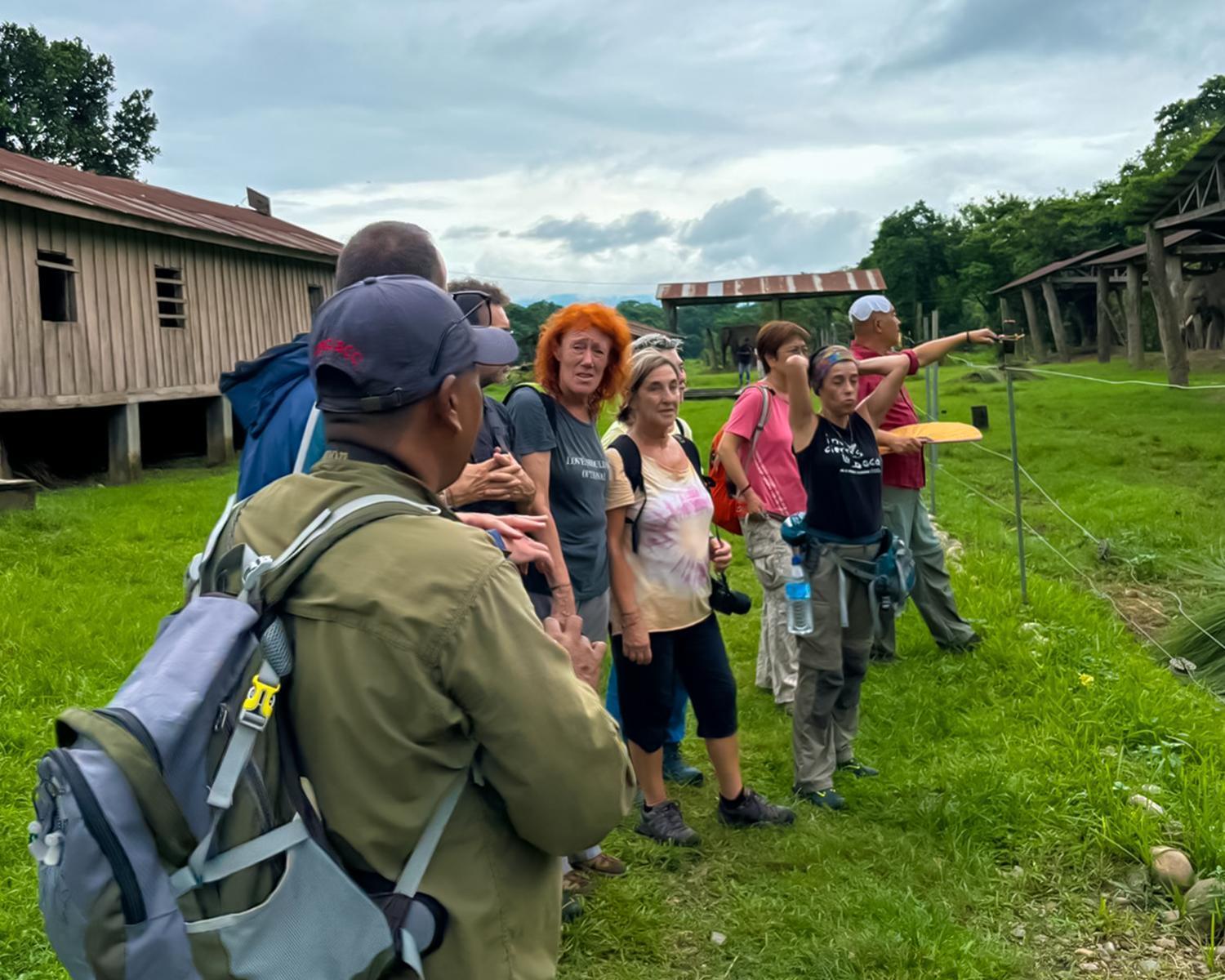 Greenland Safari, Sauraha Exterior photo